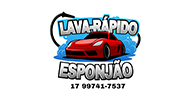 Esponjao Lava Rapido